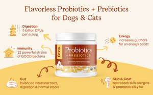 Fera Pets Probiotics